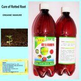 Fertilizer for Cure Rotted Root -- --Seaweed Biobacterial Agent