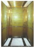 Luxurious Passenger Elevator