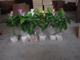 Artificial Flowers & Plants of Calla Lily