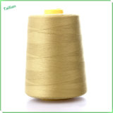 Wholesale High Quality 40s/2 Polyester Sewing Thread