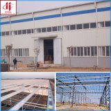 Steel Structure for Workshop/Warehouse/Building (EHSS267)