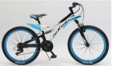 Bicycle 24MT118E