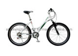 Female Mountain Bicycle with Best Price MTB-030