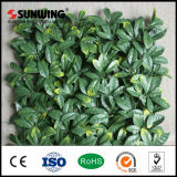 Hot Eco-Friendly Home Decoration Artificial IVY