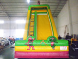 Children Amazing Inflatable Water Slide in Outdoor, Durable Inflatable Water Slide