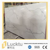 Natural Surface Calacatta White Quartz Stone