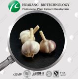 High Quality Wholesale Garlic Powder Extract