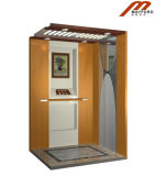 Wooden Car Wall Residential Home Elevator