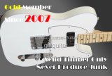 Sbf-Tel P-90 Solid White Alder Guitar
