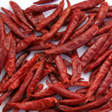 Chinese Red Chilli Wiht High Quality