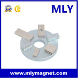Arc Rare Earth Neodymium Magnet (M091)