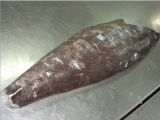 Frozen Oil Fish Fillet (lepidocybium flavobrunneum)