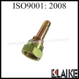 Hose Fitting Crimped with Swivel Nut (20212)