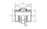 Hydraulic Fitting (1H)