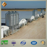Prefab Steel Structure Broiler Shed/Poultry House