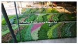 Ggw-Gw-Project Indoor or Outdoor Project Decoration Artificial Green Wall