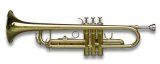 PRO B Flat Gold Trumpet