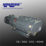 CO2 Laser Equipment Machine Used Roots Vacuum Pump (RV1100)