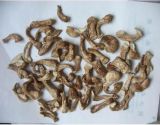 Dried Shiitake Mushrooms Stem (002)