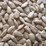 Sunflower Seeds Kernel for Wholesale