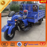 All Type Big Foot Pedal Double Seat Tricycle