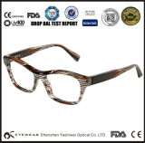 Color Frame Novel Sunglasses Square Eyewear Unisex China Wholesale