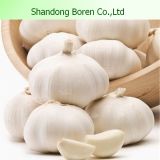 New Crop Chinese Fresh White Garlic (4.5-5.0-5.5-6.0cm)