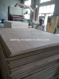 Red Birch Plywood, Commercial Plywood