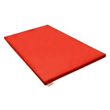 Yoga Fitness Exercising Mat Workout Home Indoor Gym Floor Gymnastics Cover Train