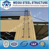 Steel Structure for Car Parking (WD100617)