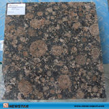 Chinese Granite for Floor Tile / Wall Cladding