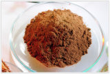 Drynaria Extract Naringin 1%-5% GMP Manufacturer Kosher