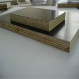 Poplar Core 15mm Marine Plywood with High Quality