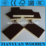 1220*2440*15mm, Film Coated Plywood at Factory Price
