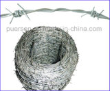 Competitive Price Double-Twist Barbed Wire Screwed