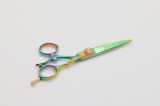 Hair Scissors (U-317G)
