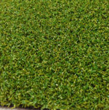 Artificial Grass for Golf Course (PG-10PP)