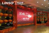 SMD5050 1R1G1B Indoor LED Displays for Big Project Show