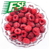 Frozen Raspberry (FSFRAS01)
