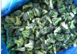Hot Sell Frozen IQF Broccoli