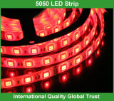Decoration SMD 5050 Flexible LED Strip Lighting