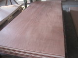 Well Sanded Full Sheet Board of Furniture Plywood