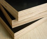 Brown Film Faced Plywood (FFP-HU0102b)