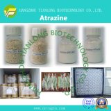 Atrazine (97%TC, 48%WP, 80%WP, 90%WDG, 38%SC, 50%SC)