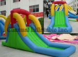 Inflatable Water Slides (Qw002)