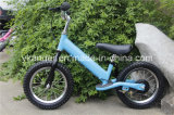 12 Inch No Pedal Skyblue Steel Kid Learner Bike (AKB-1228)