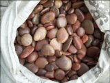 Polished Red Pebbles Stone for Paving Garden
