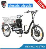 250W Iron Frame Cargo Electric Tricycle (KCET001)