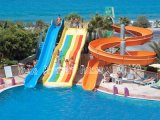 Family Swimming Pool Water Slide Cheap Water Slide for Sale
