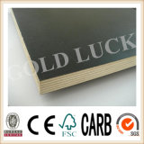 Qingdao Gold Luck Mirrorboard Film Faced Plywood